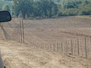 vineyard development sonoma