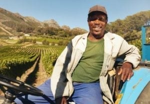 Vineyard worker sitting on his tractor smiling.